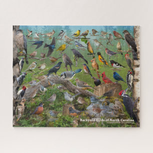 Puzzle Aves del patio trasero de Carolina del Norte
