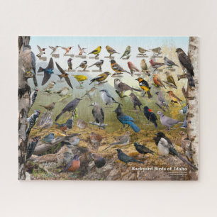 Puzzle Aves del patio trasero de Idaho