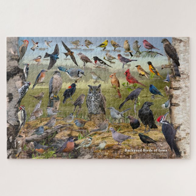 Puzzle Aves del patio trasero de Iowa (Horizontal)