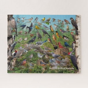 Puzzle Aves del patio trasero de Kentucky