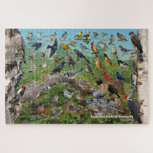 Puzzle Aves del patio trasero de Kentucky