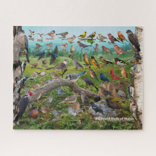 Puzzle Aves del patio trasero de Maine