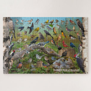 Puzzle Aves del patio trasero de Maryland