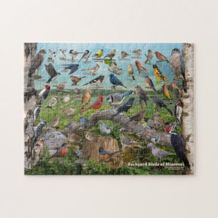 Puzzle Aves del patio trasero de Misuri