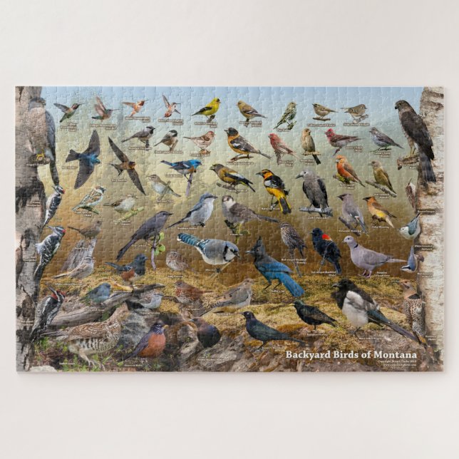 Puzzle Aves del patio trasero de Montana (Horizontal)
