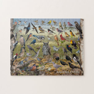 Puzzle Aves del patio trasero de Nebraska