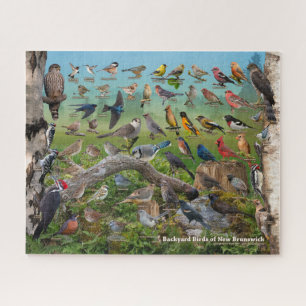 Puzzle Aves del patio trasero de Nueva Brunswick