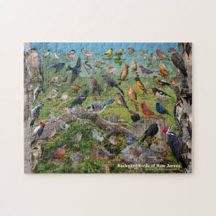Puzzle Aves del patio trasero de Nueva Jersey
