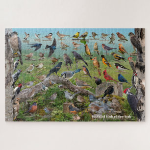 Puzzle Aves del patio trasero de Nueva York