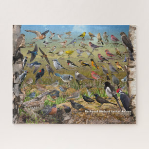 Puzzle Aves del patio trasero de Saskatchewan