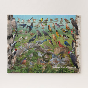 Puzzle Aves del patio trasero de Vermont