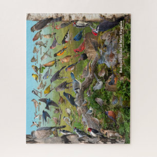 Puzzle Aves del patio trasero de Virginia Occidental