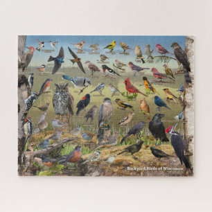 Puzzle Aves del patio trasero de Wisconsin