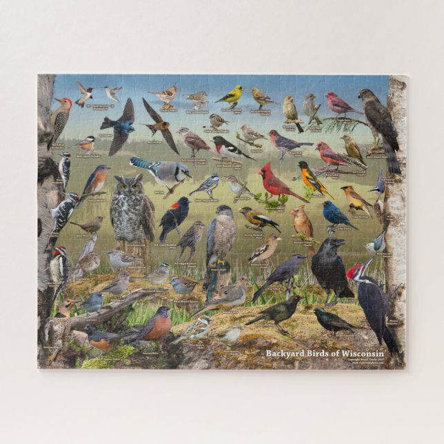 Puzzle Aves del patio trasero de Wisconsin (Horizontal)