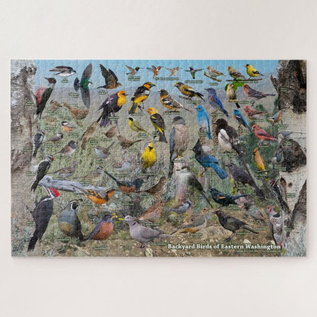 Puzzle Aves del patio trasero del este de Washington (Horizontal)