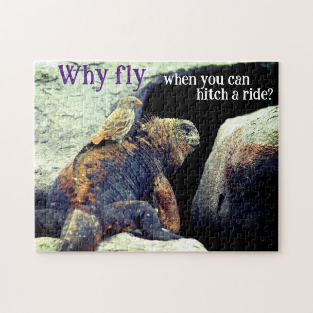 Puzzle Aves e Iguana marina (Horizontal)