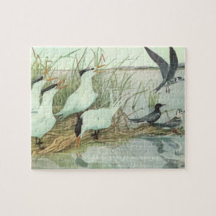 Puzzle Aves playeras vintage en una marisma de Louis Fuer