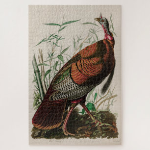 Puzzle Aves silvestres de Turquía de la impresión audu