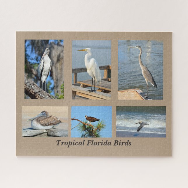 Puzzle Aves tropicales de Florida (Horizontal)