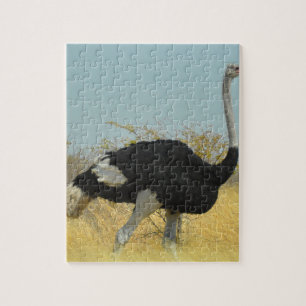 Puzzle avestruz sale a correr
