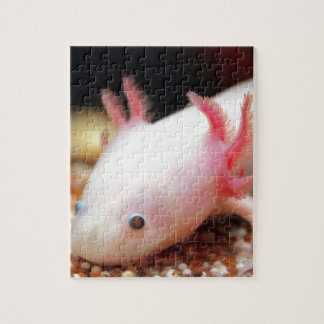 Puzzle Axolotl Weißling