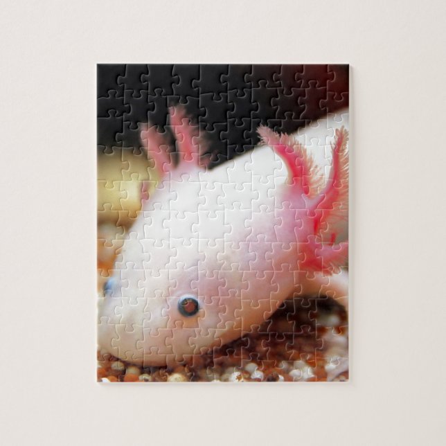 Puzzle Axolotl Weißling (Vertical)