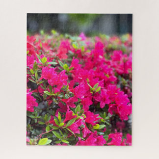 Puzzle Azalea Rosa Fucsia, Seúl
