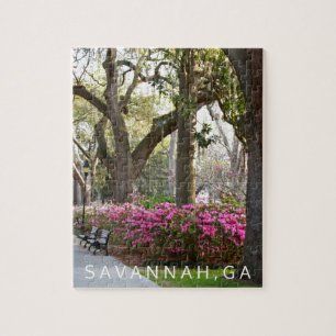 Puzzle Azaleas de la primavera del parque de Georgia el