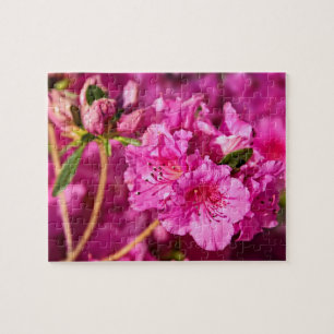 Puzzle Azaleas rosadas