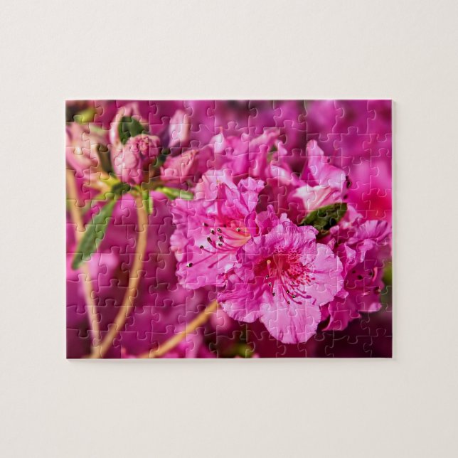 Puzzle Azaleas rosadas (Horizontal)