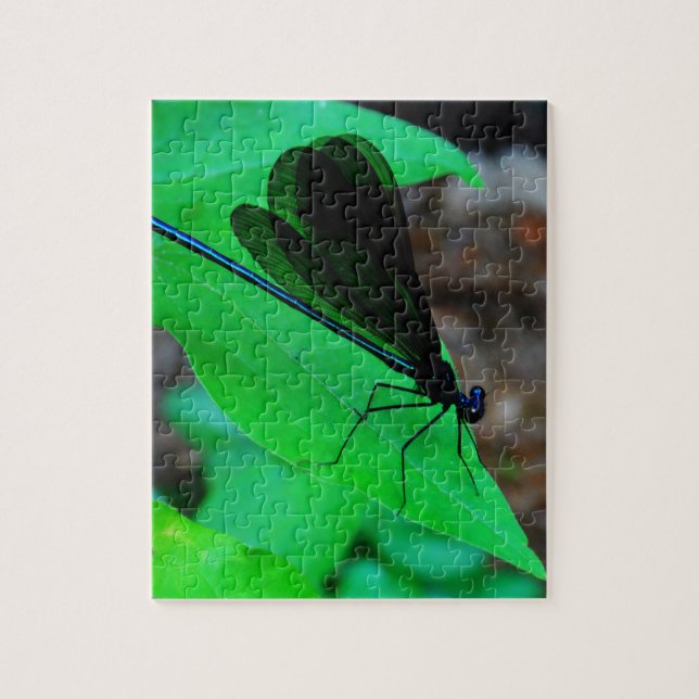 Puzzle Azul de Damselfly sobre una hoja verde. (Vertical)