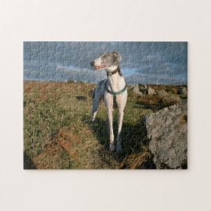 Puzzle Azul gris