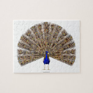 Puzzle Azul pavo real