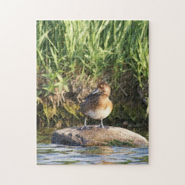 Puzzle B18 Lesser Scaup de pie sobre una roca (Vertical)