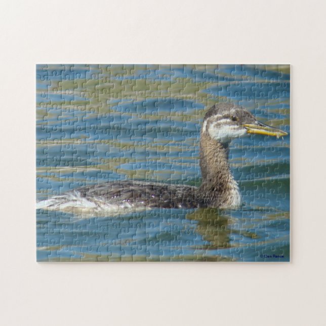 Puzzle B40 Grebe juvenil de cuello rojo (Horizontal)