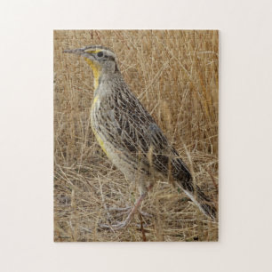 Puzzle B57 Meadowlark occidental