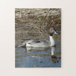 Puzzle B5 Pintail Duck Drake