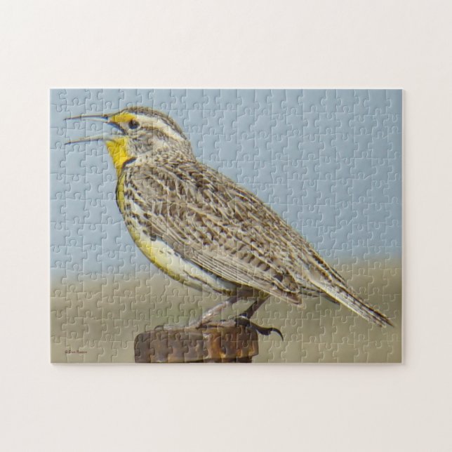 Puzzle B6 Western Meadowlark (Horizontal)