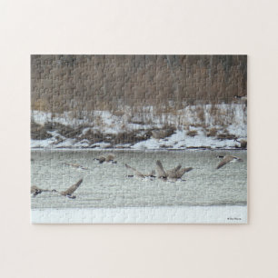 Puzzle B7 Geese canadiense en vuelo