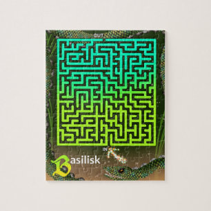 Puzzle B es para Basilisk Maze