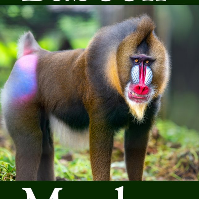 Puzzle Baboon Monkey (Baboon Monkey Jigsaw Puzzle!)