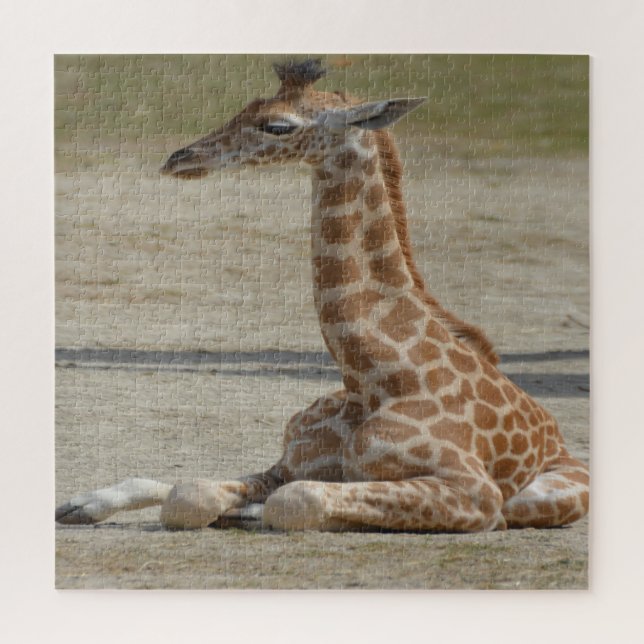 Puzzle Baby Giraffe (Vertical)