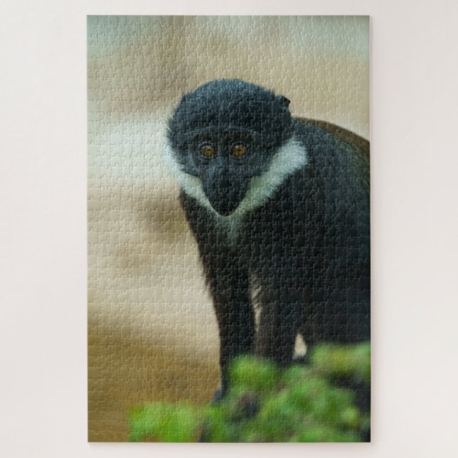Puzzle Baby L'Hoest Monkey (Vertical)