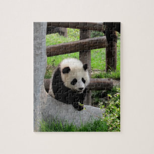 Puzzle Baby Panda