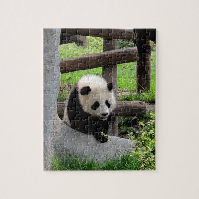 Puzzle Baby Panda (Vertical)