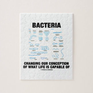 Puzzle Bacterias que cambian nuestro concepto es qué vida