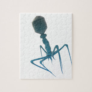 Puzzle bacteriófago