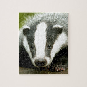 Puzzle Badger - ¡Impresionante foto a favor!