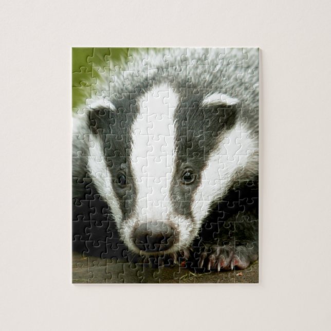 Puzzle Badger - ¡Impresionante foto a favor! (Vertical)