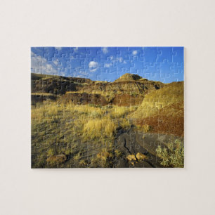 Puzzle Badlands en el Parque Provincial Dinosaurio en Alb